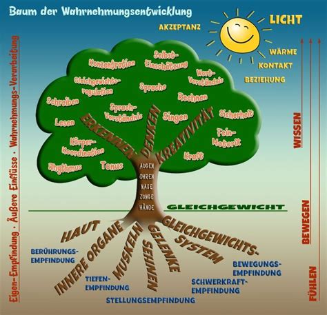 Erkenntnisse über Entwicklungsschritte