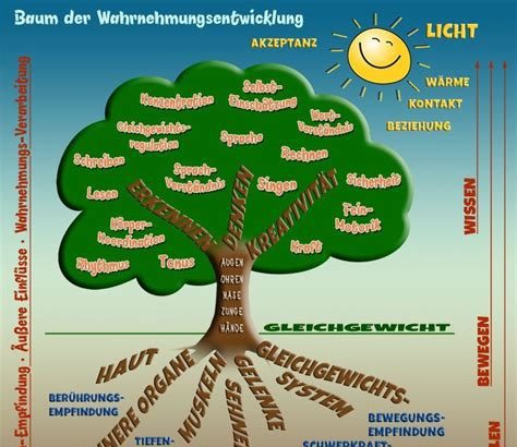 Erste Babyschritte: Der Kleinkindprozess