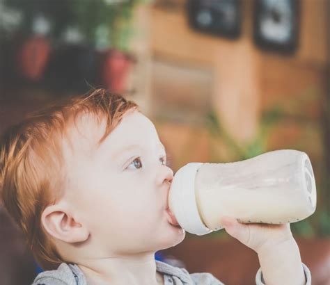 Richtige Ernährung für Babys: Grundlegende Tipps